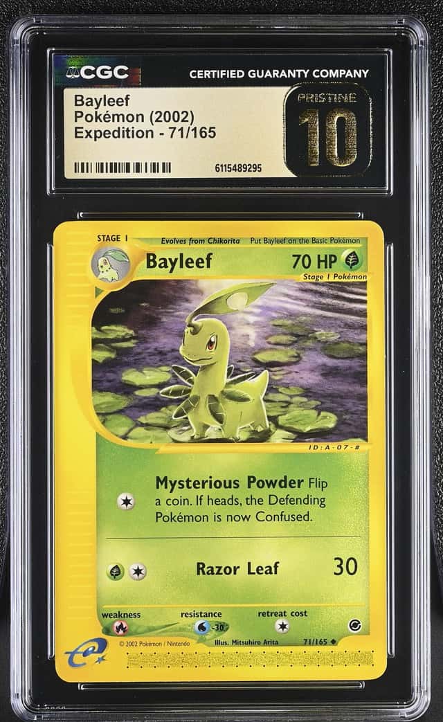 Bayleef