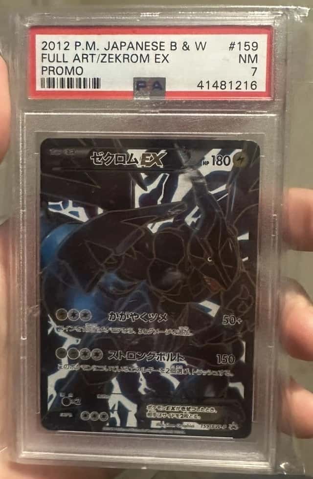Zekrom EX