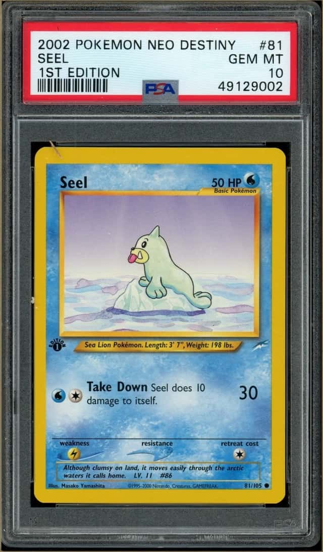Seel