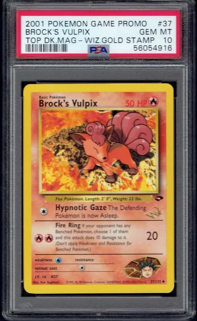Brock's Vulpix
