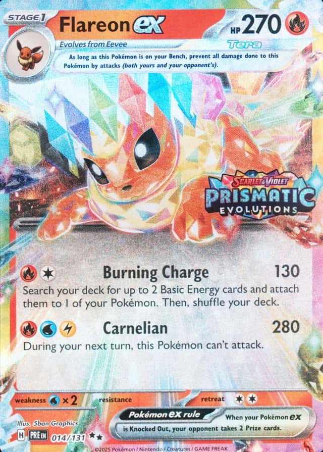 Holo · Box Exclusive Surprise