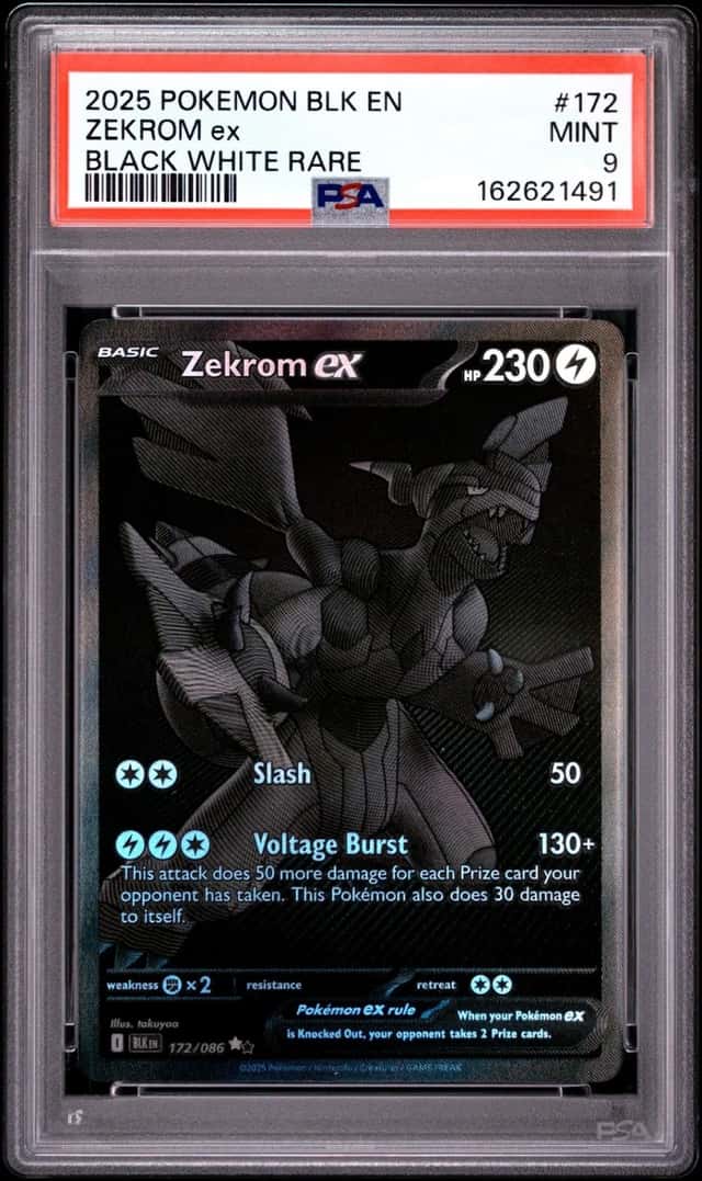 ZEKROM ex