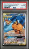 Raichu/aln.raichu Gx