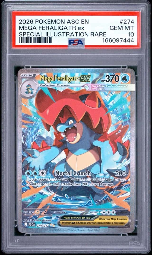 MEGA FERALIGATR ex