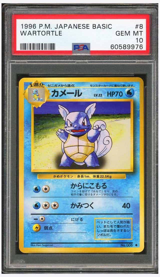 Wartortle