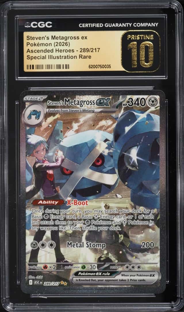 STEVEN'S METAGROSS ex