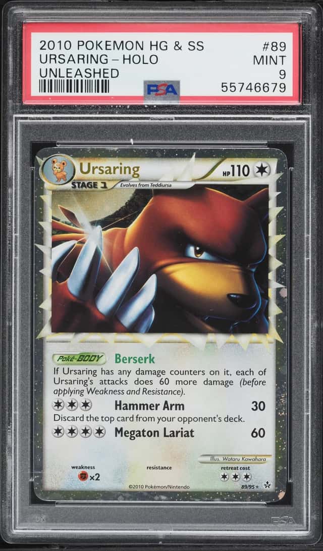 Ursaring