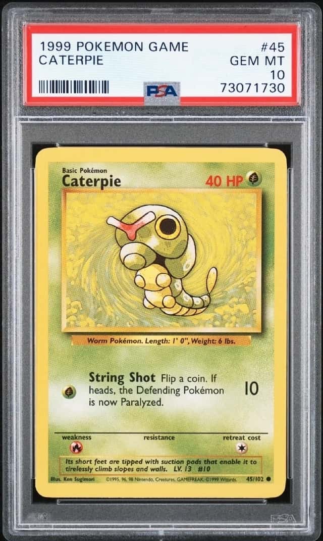 Caterpie
