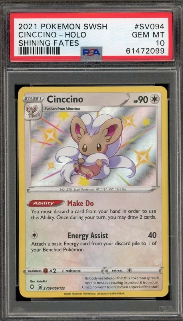 Cinccino