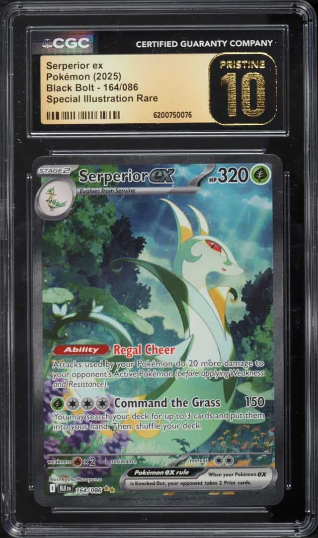 SERPERIOR ex