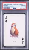 Pidgey