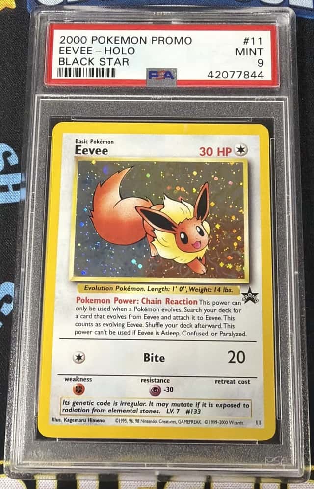 Eevee