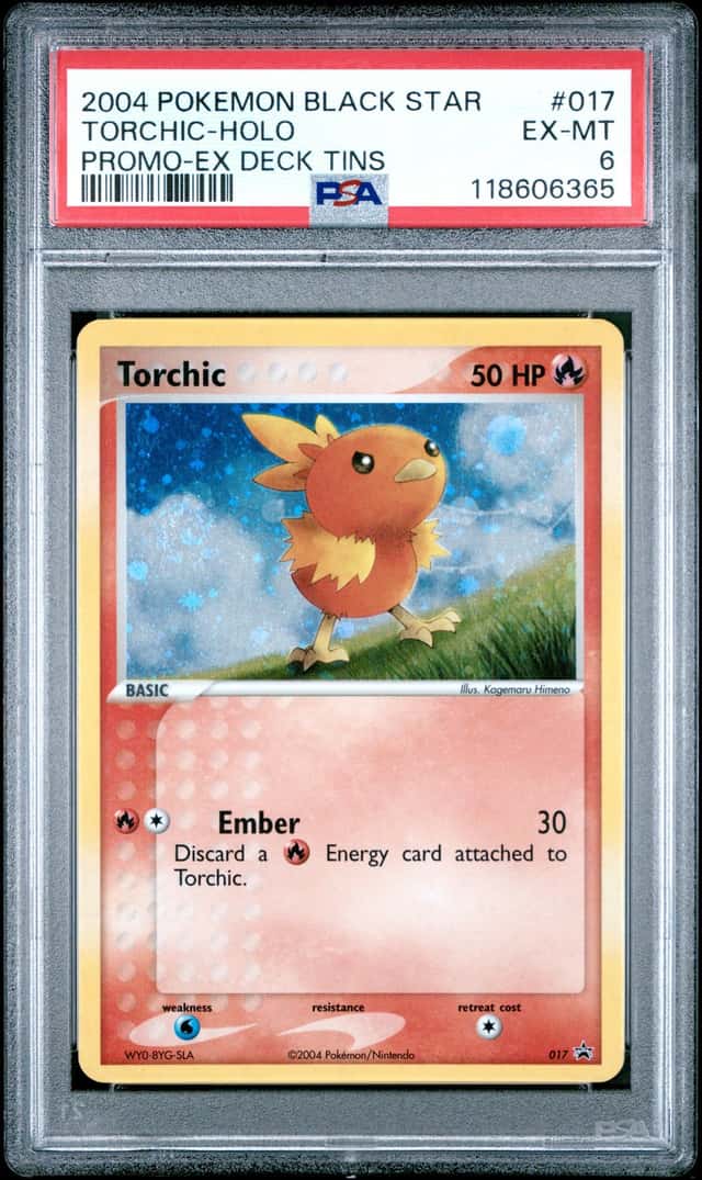 Torchic