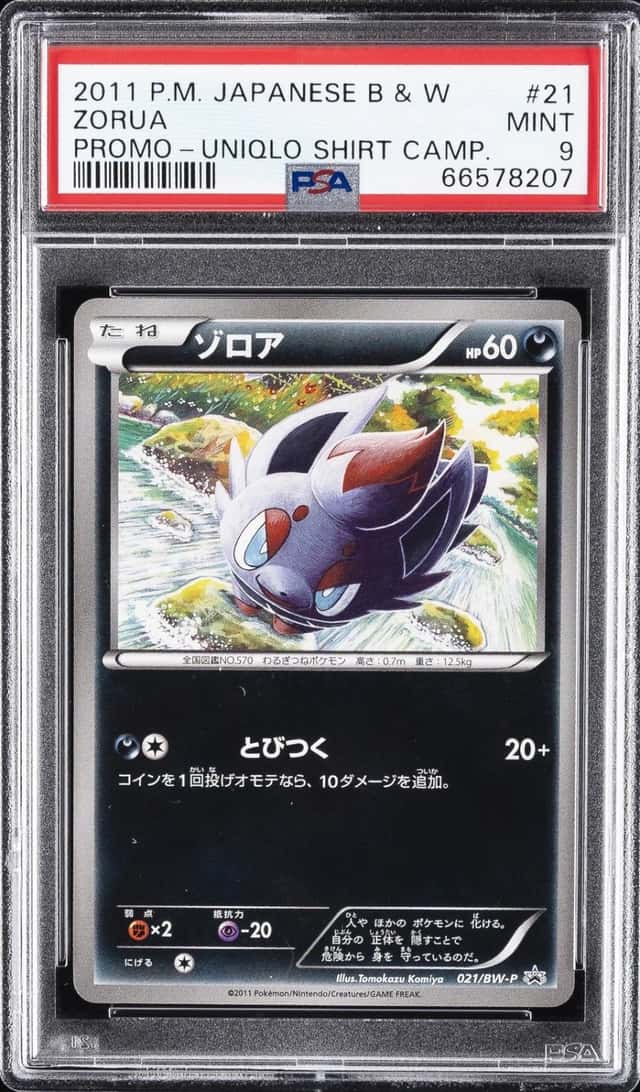 Zorua
