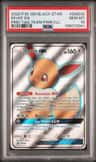 Eevee Gx