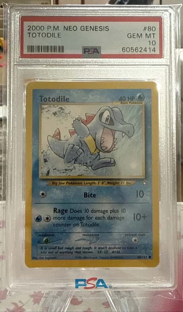 Totodile