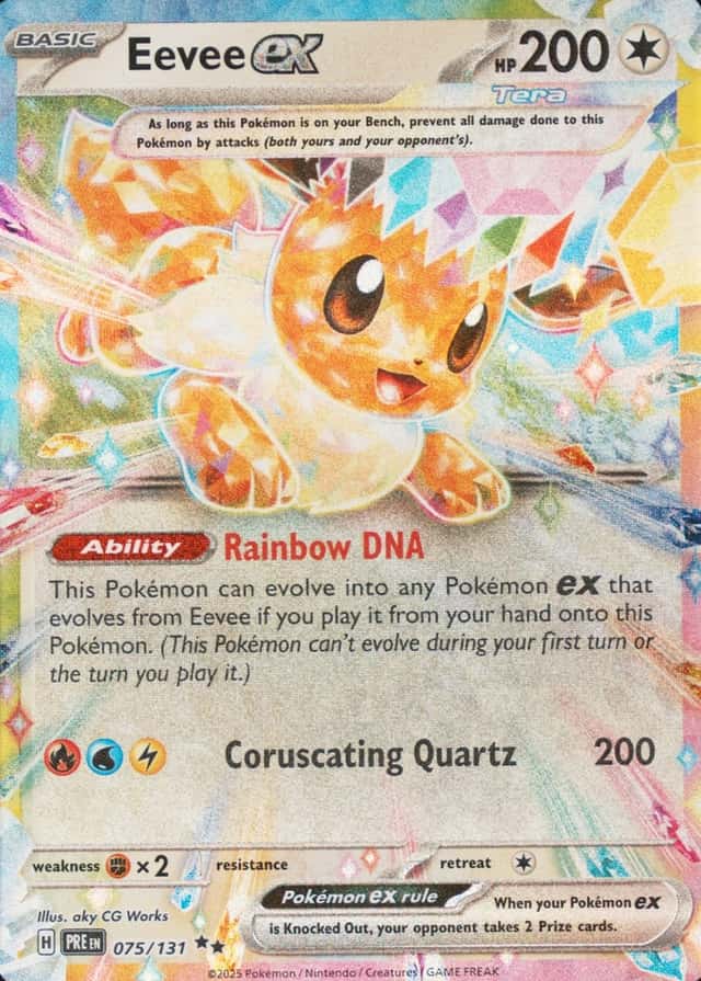 Holo