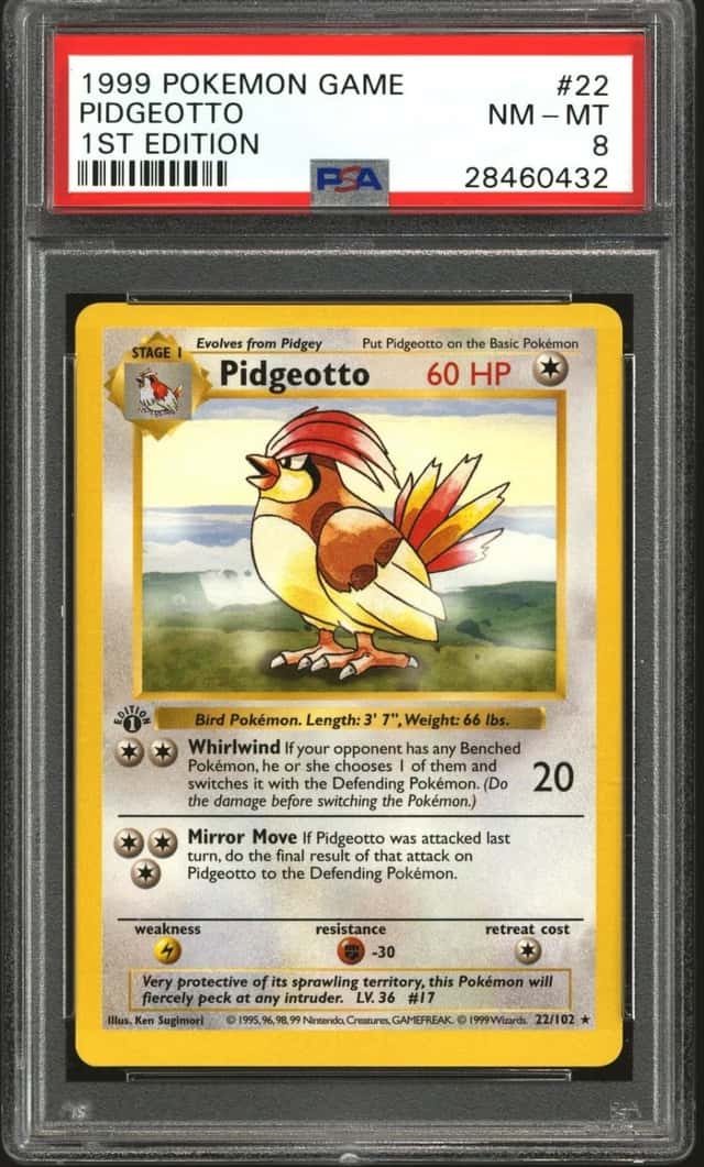 Pidgeotto