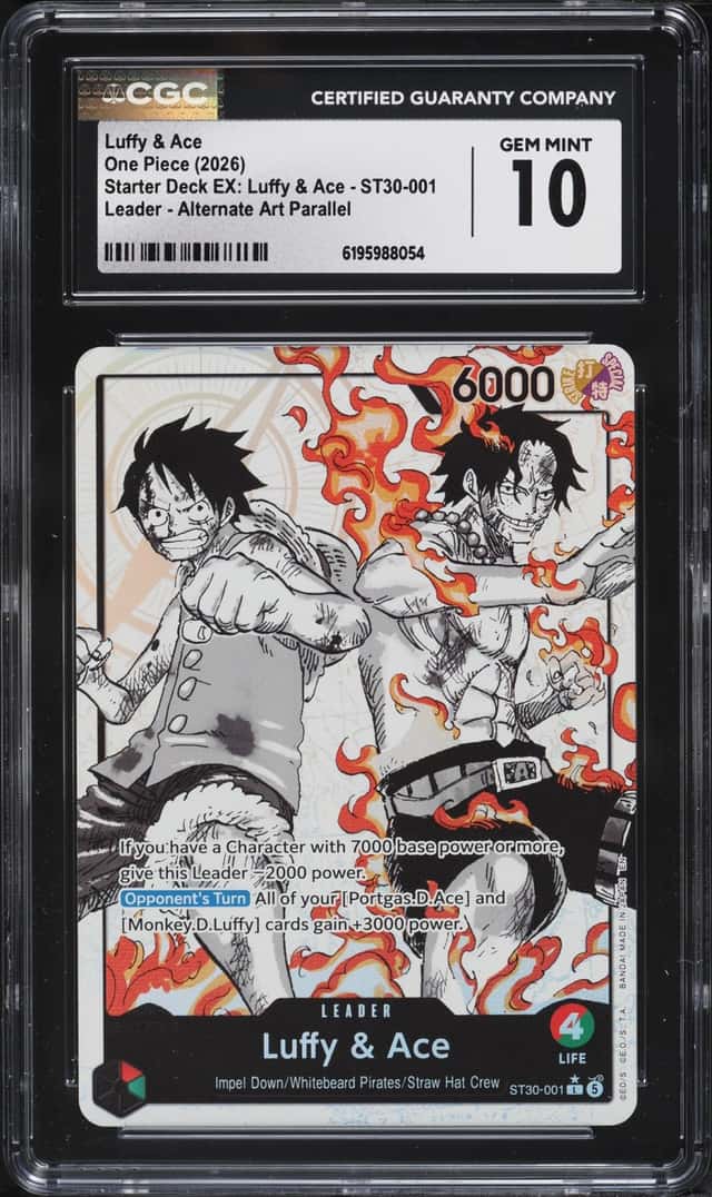 Luffy & Ace