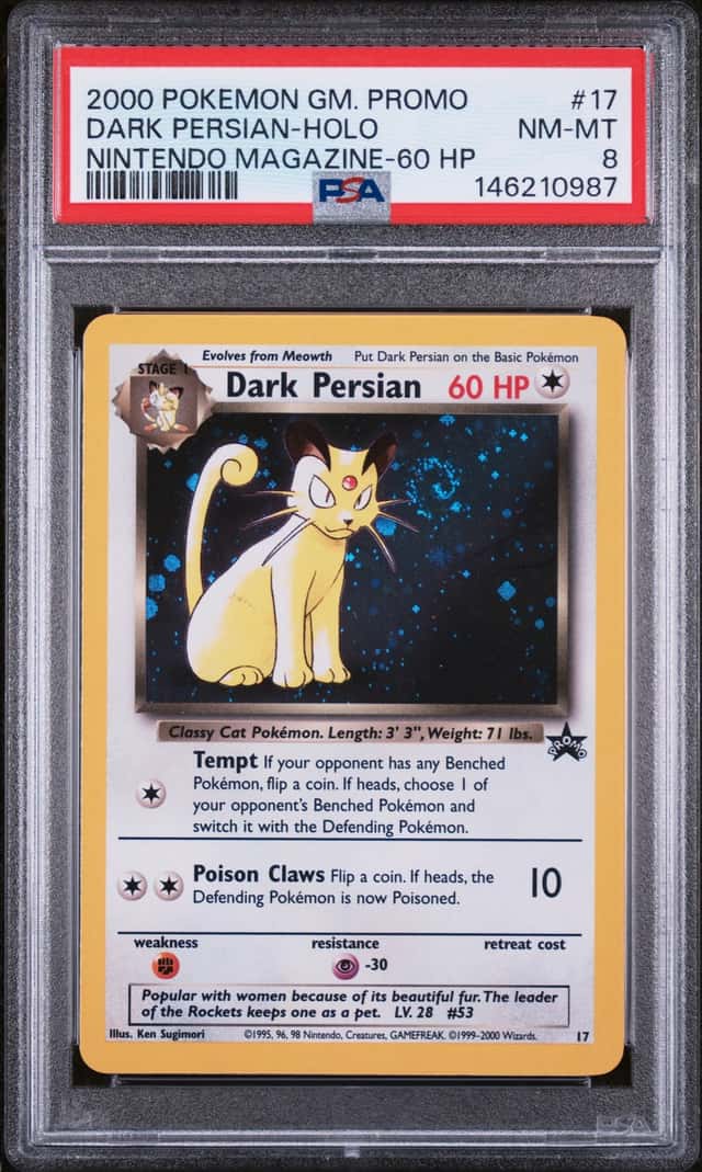 Dark Persian
