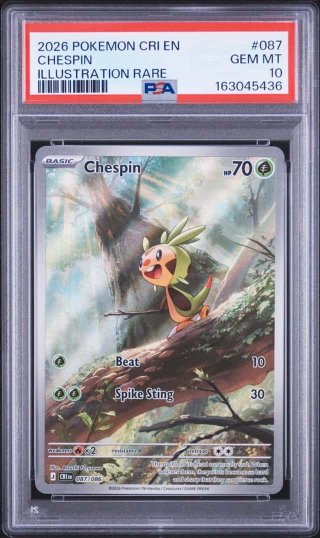 Chespin