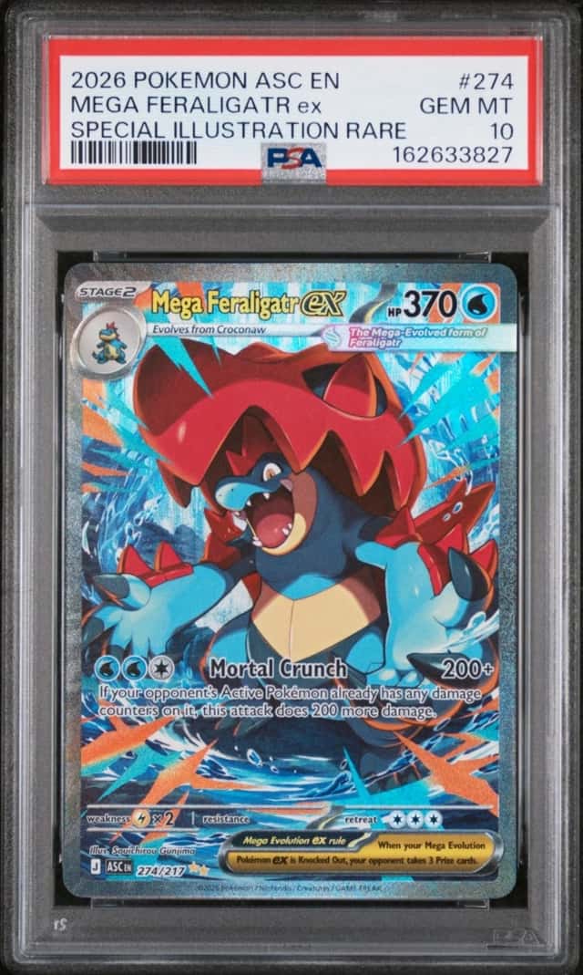 MEGA FERALIGATR ex
