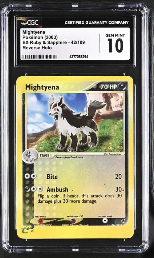 Mightyena