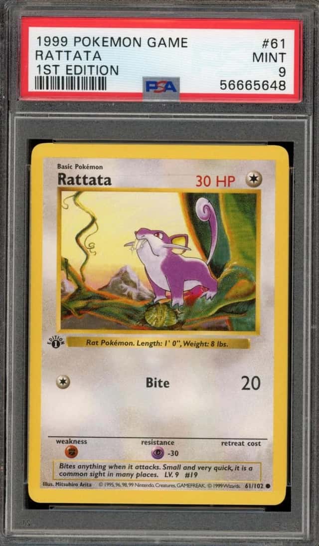 Rattata