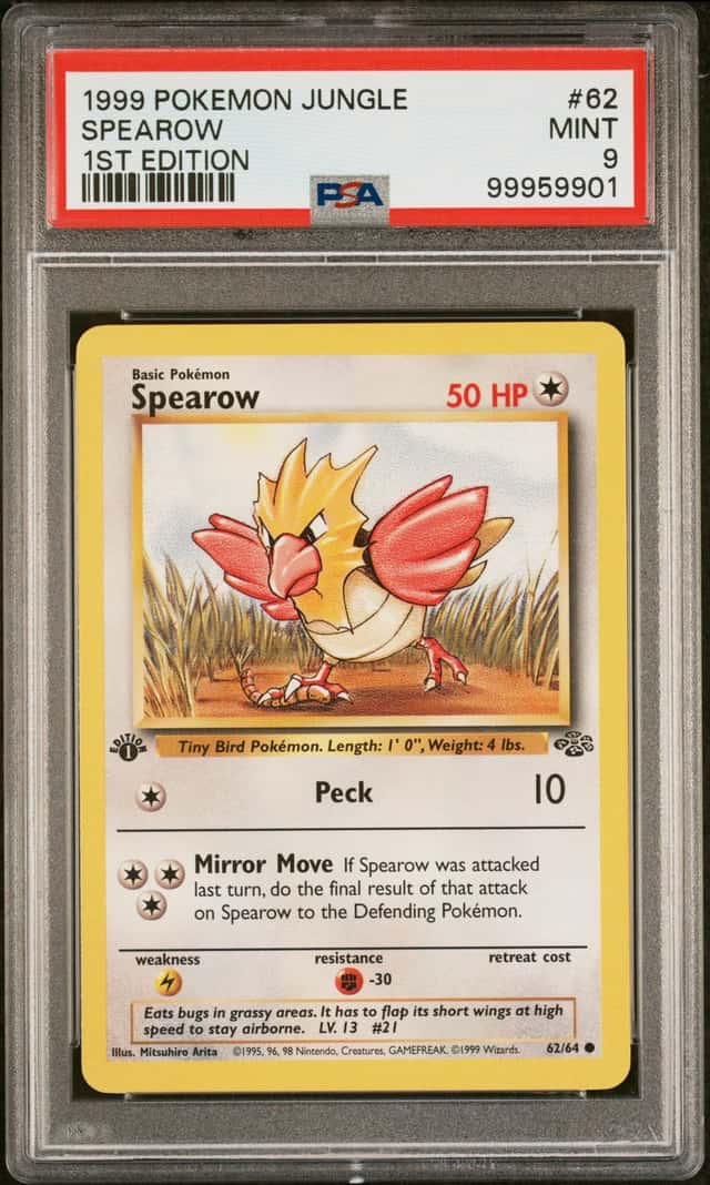 Spearow