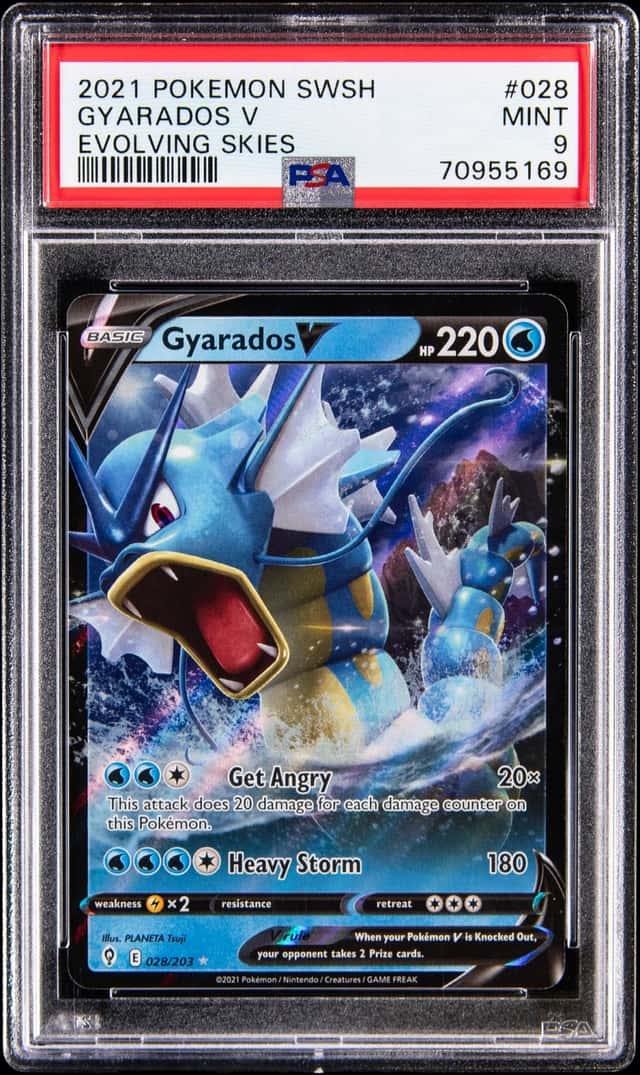 Gyarados V