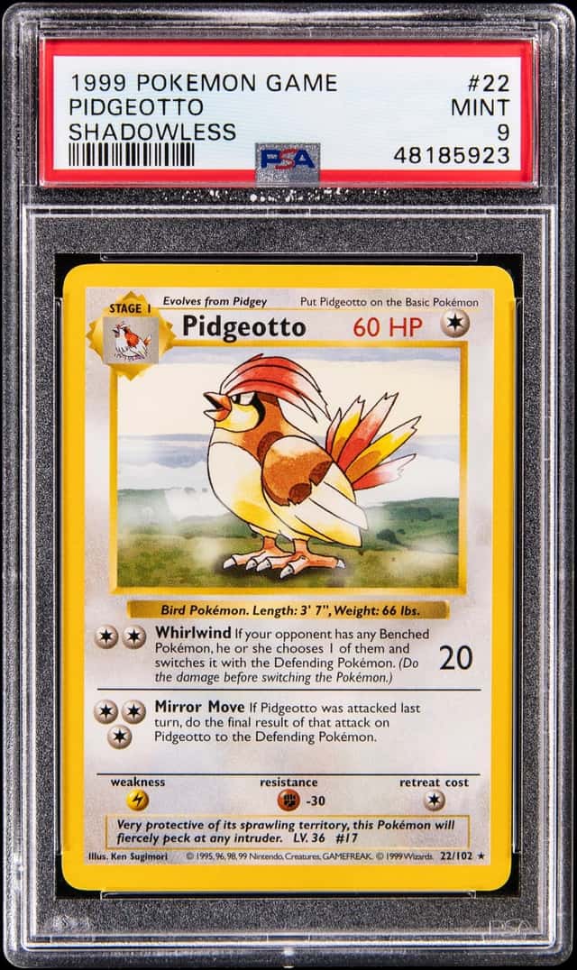 Pidgeotto