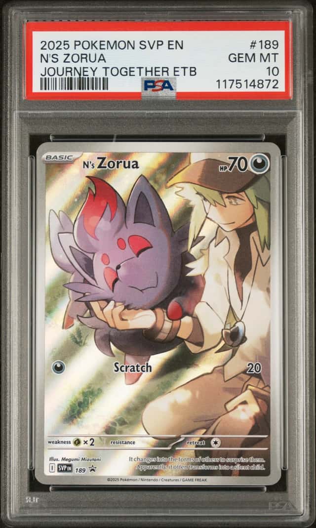 N's Zorua