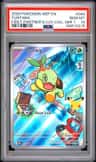 Turtwig