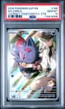 N'S Zorua