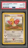Spearow