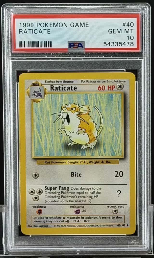 Raticate