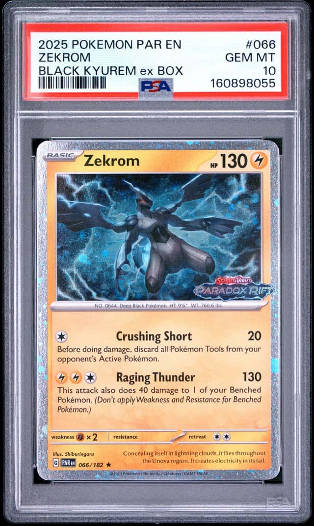 Zekrom