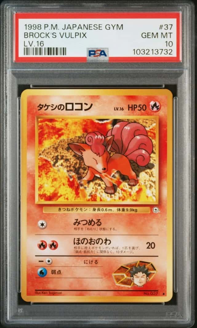 Brock's Vulpix