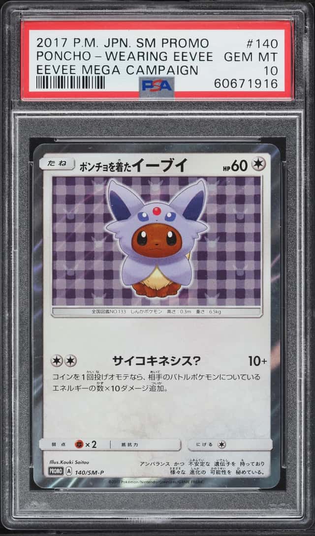 Poncho-Wearing Eevee