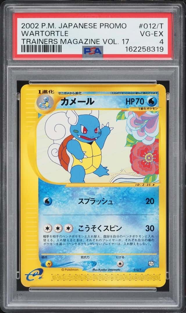 Wartortle