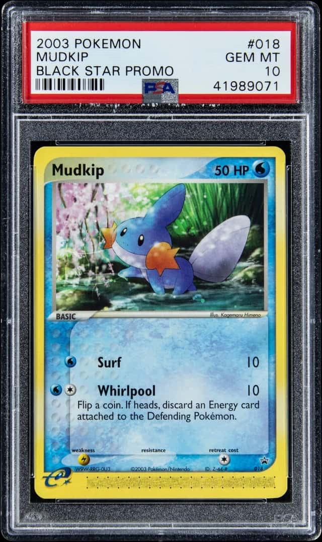 Mudkip