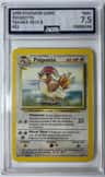 Pidgeotto