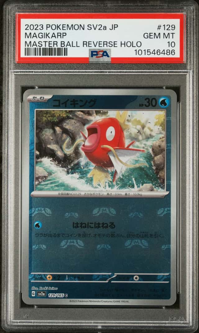 Magikarp