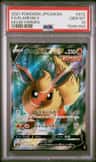 Flareon V