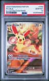 Plusle