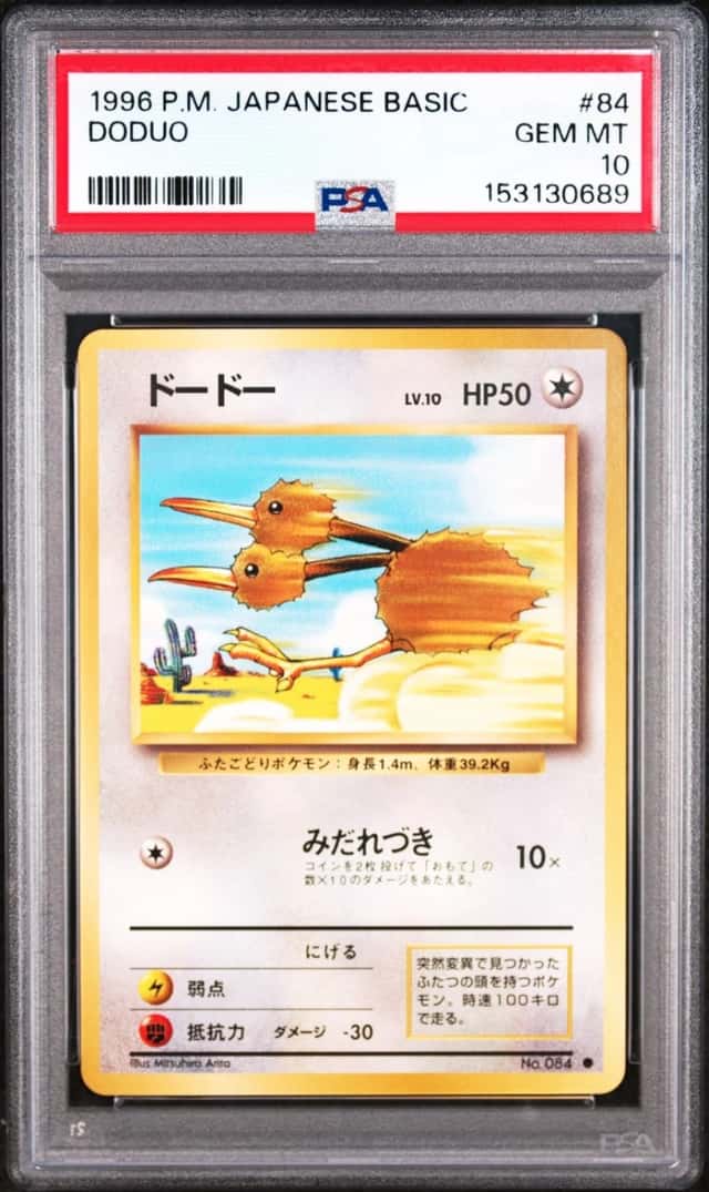Doduo
