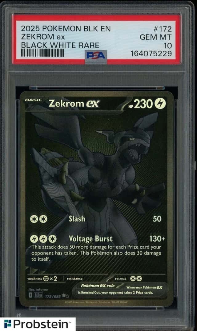 ZEKROM ex