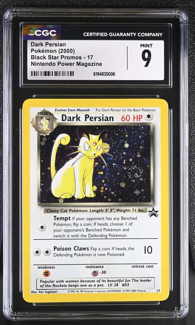 Dark Persian
