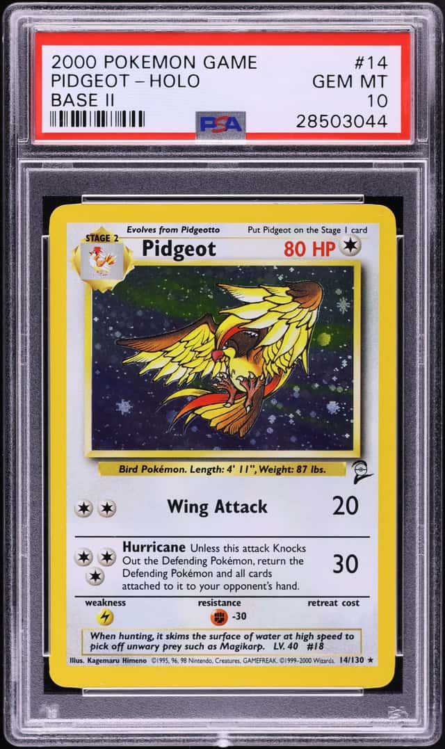Pidgeot