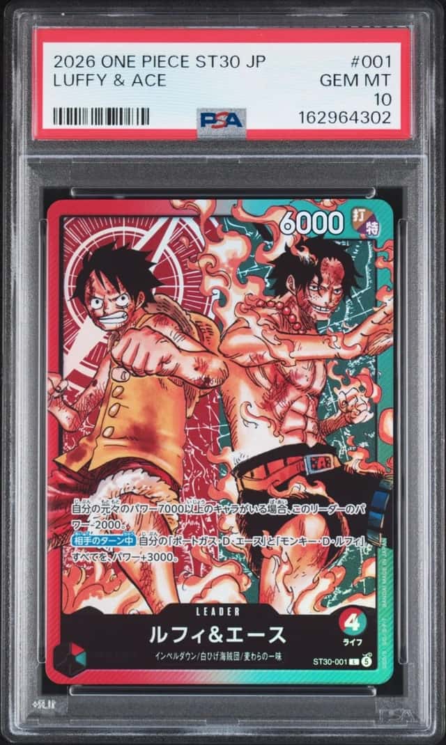 Luffy & Ace